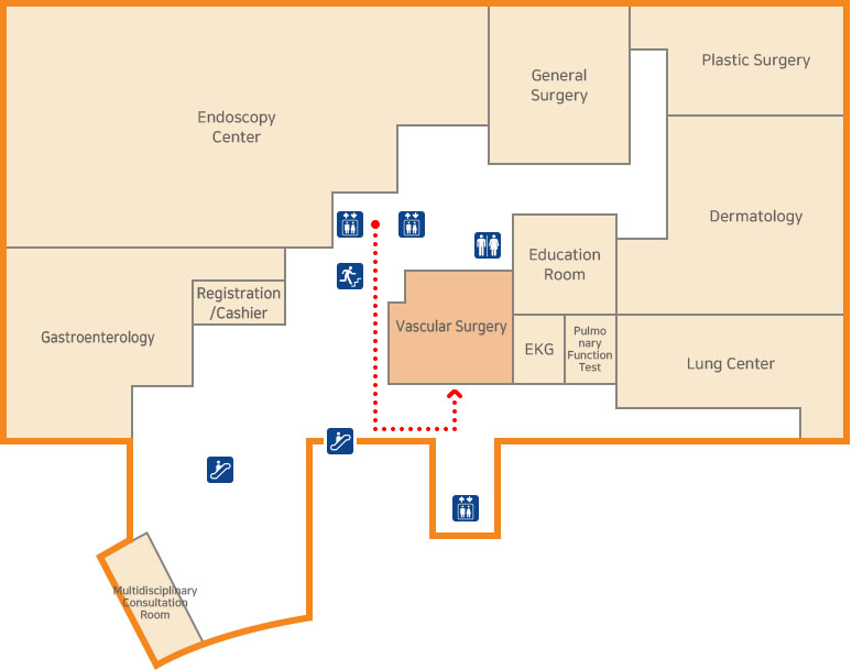 Сосудистая хирургия