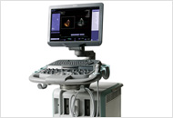 Cardiac Ultrasonography (SIEMENS ACUSON SC2000)