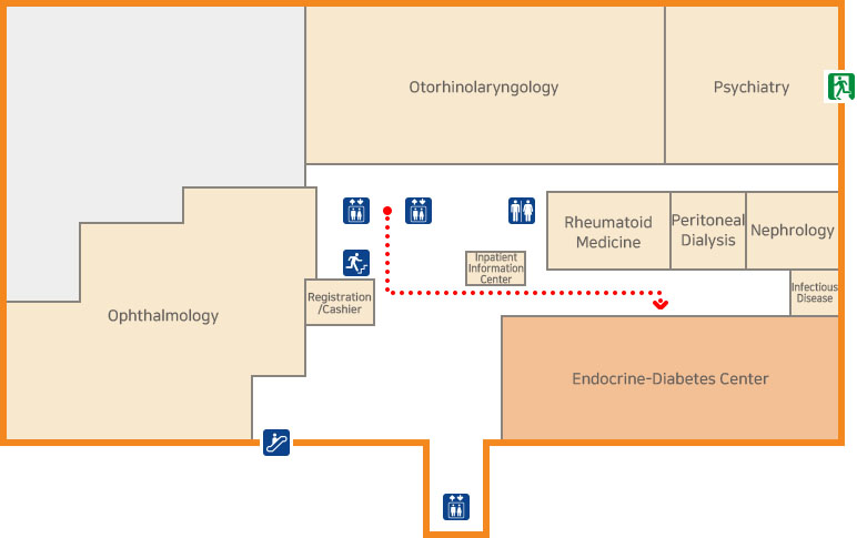 Эндокринный метаболизм, внутренняя медицина